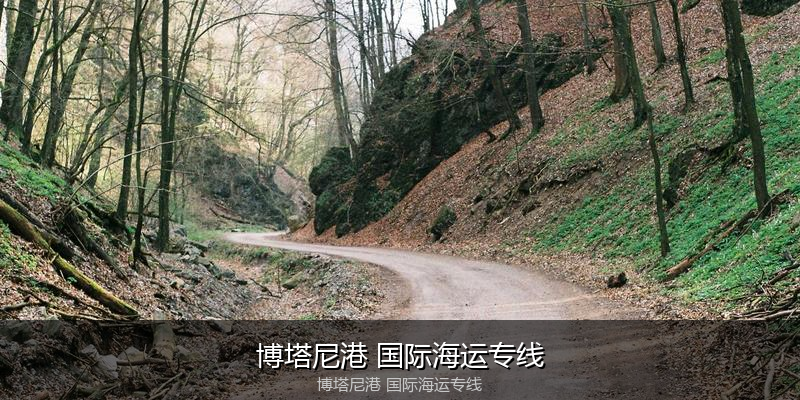 2024年中国到澳大利亚海运价格走势分析